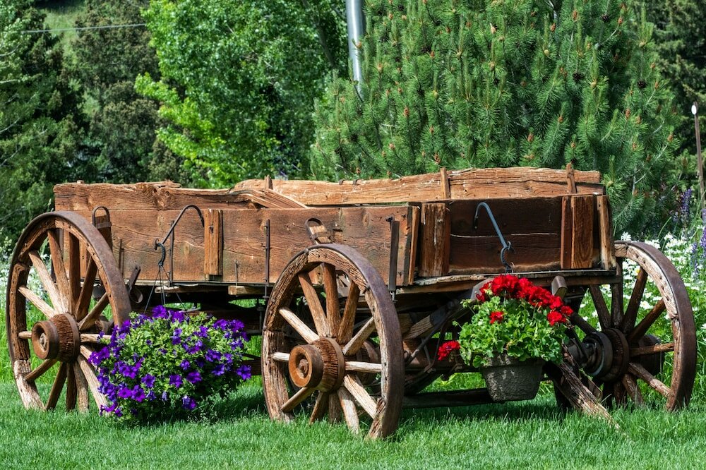 Фото Flying Saddle Resort