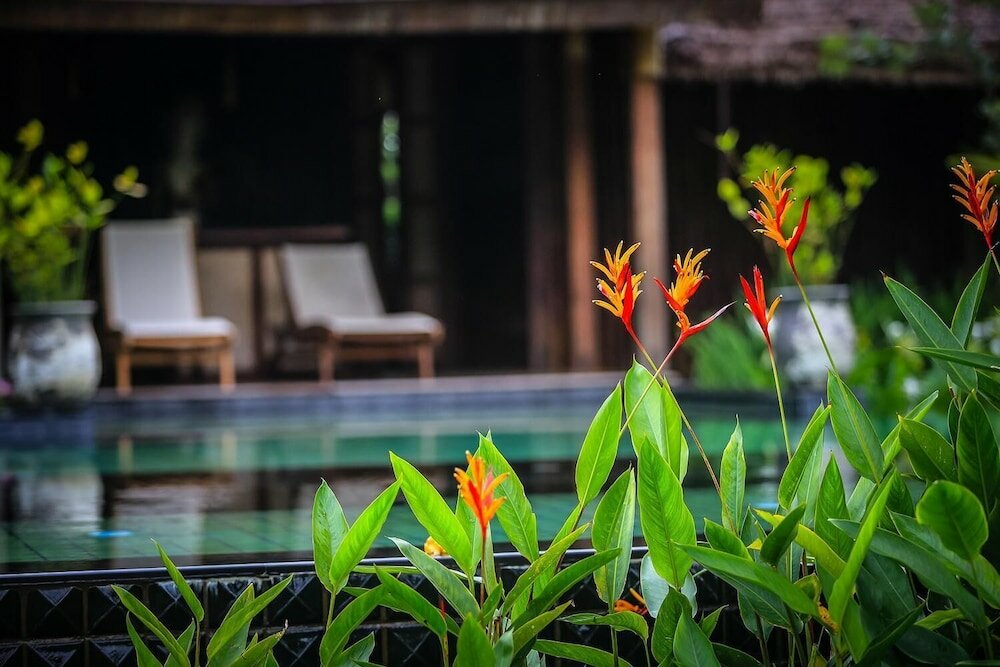 Фото Azalea Village Wellness Resort