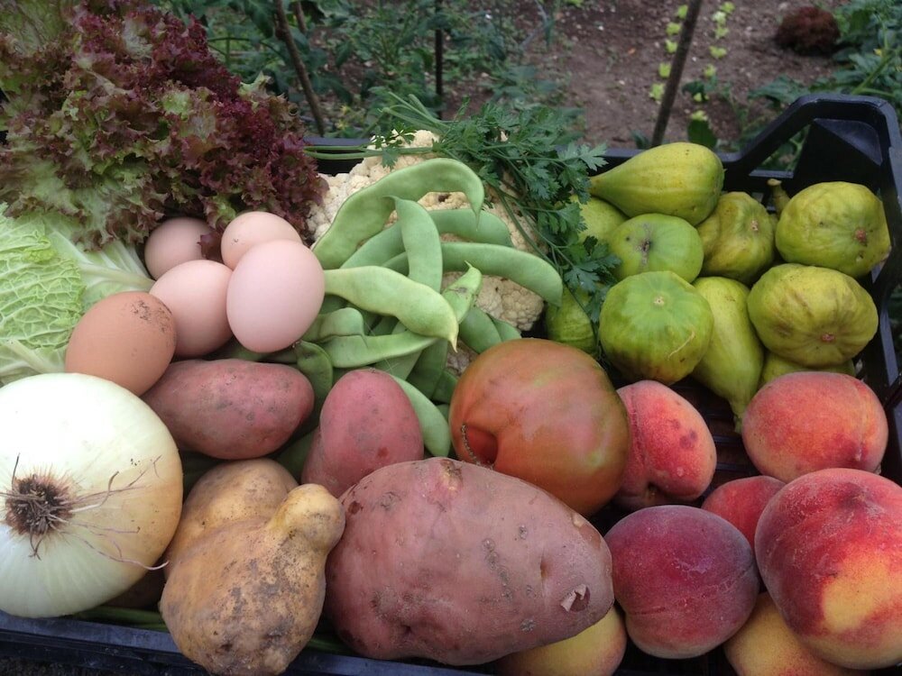 Фото Hotel Peñalba