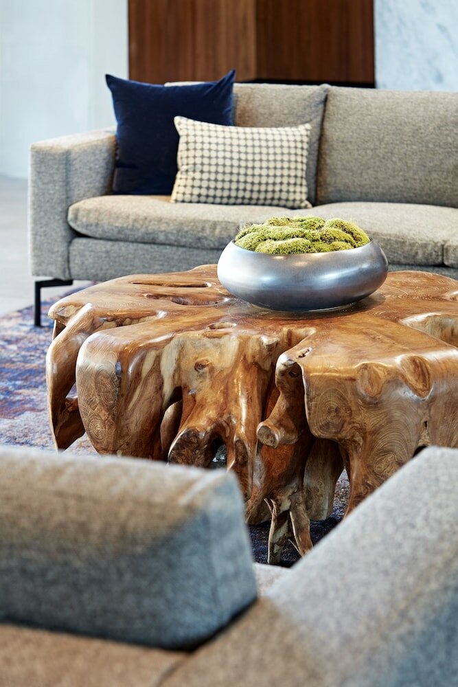 Фото Ac Hotel by Marriott San Jose Santa Clara