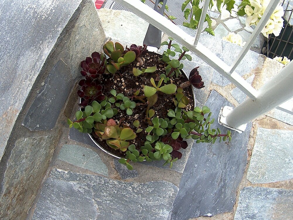 Фото Eri Studios