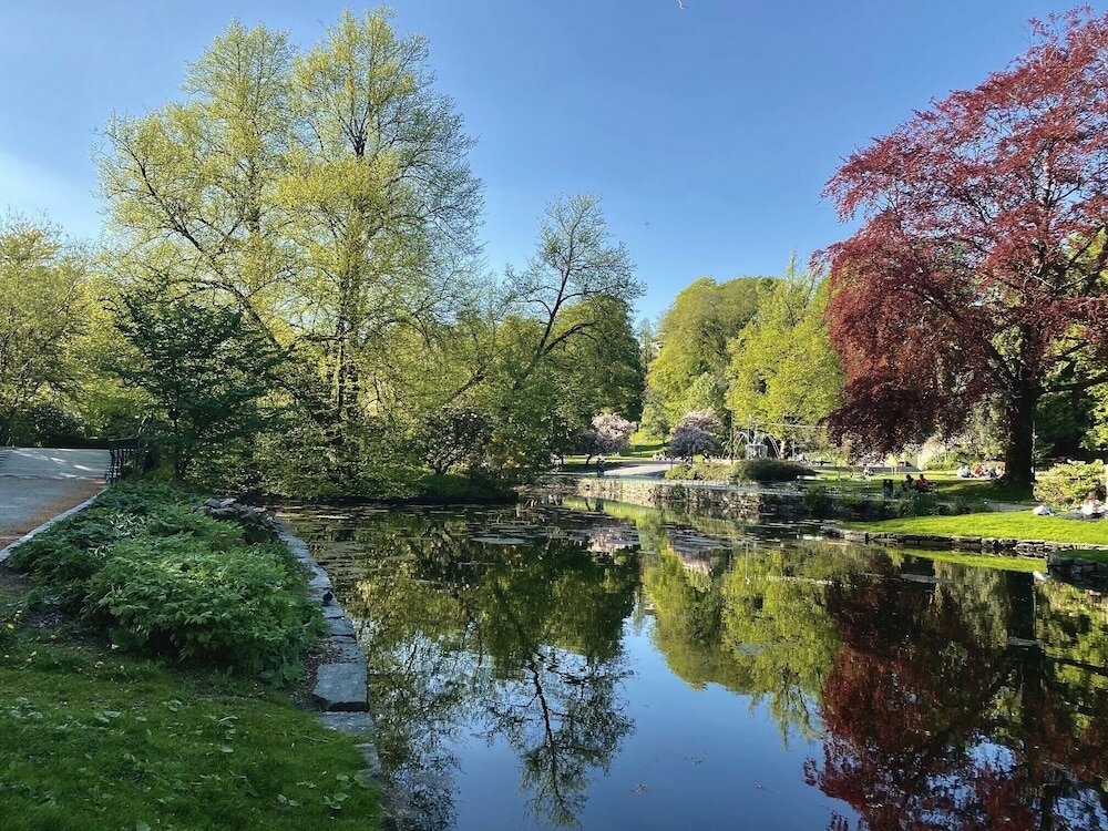 Фото Magic Hotel Solheimsviken