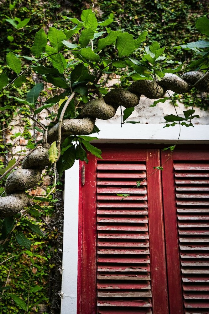 Фото Kaomai Lanna Resort