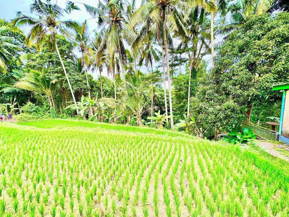 Фото Dupa Ubud Villa