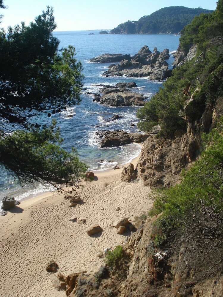 Фото Pension El Amigo