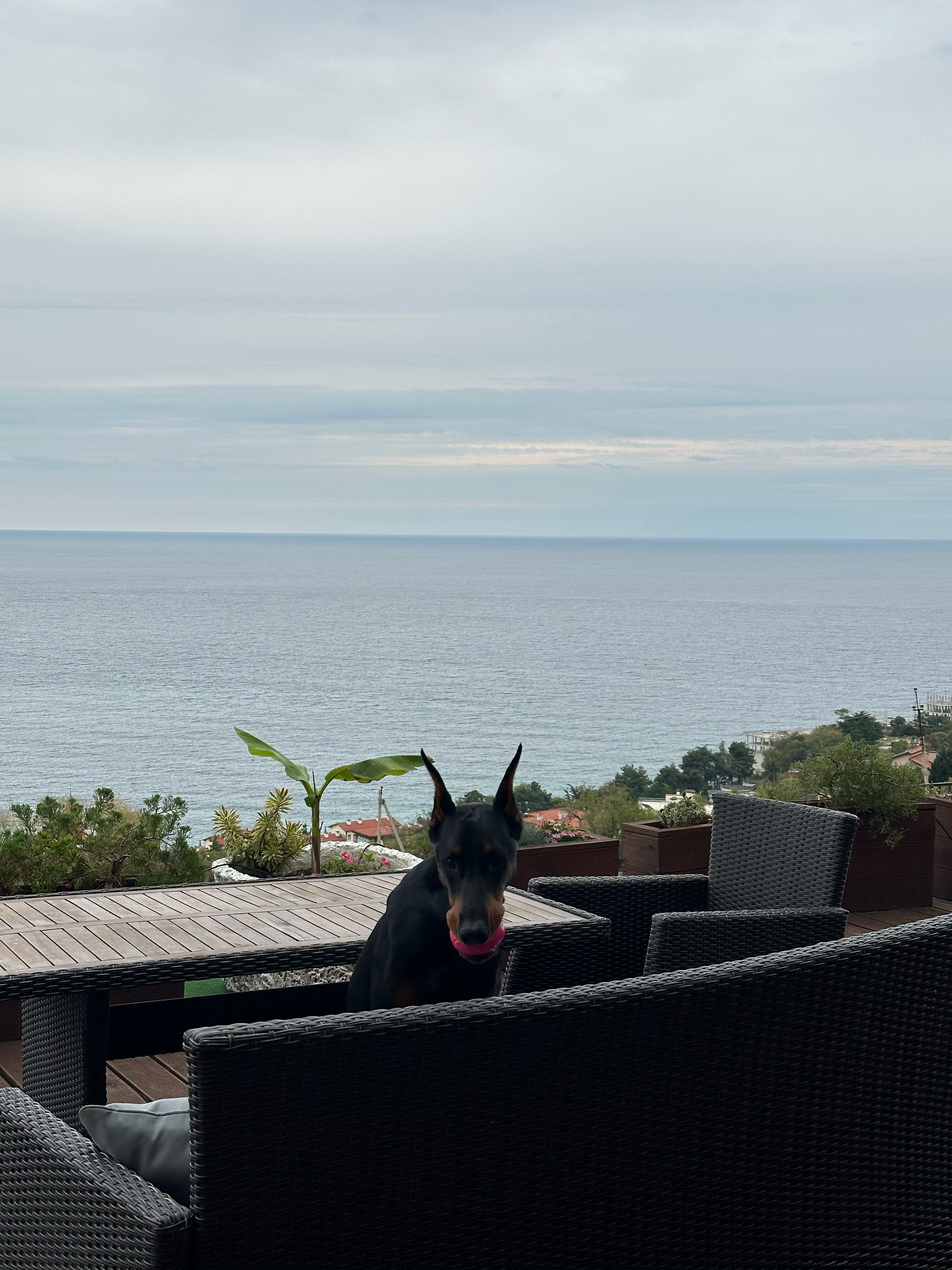 Фото Сомелье