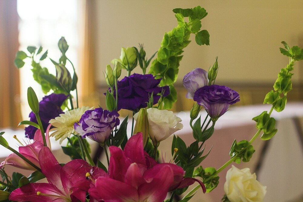 Фото Hotel Villa Las Margaritas Sucursal Centro