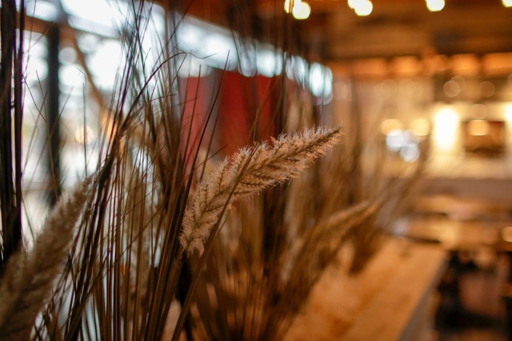 Фото Sheraton Redding Hotel at the Sundial Bridge