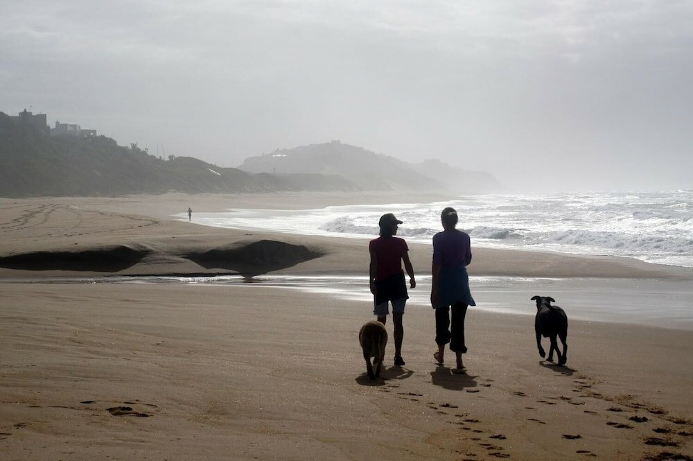 Фото The Pink Lodge on the Beach