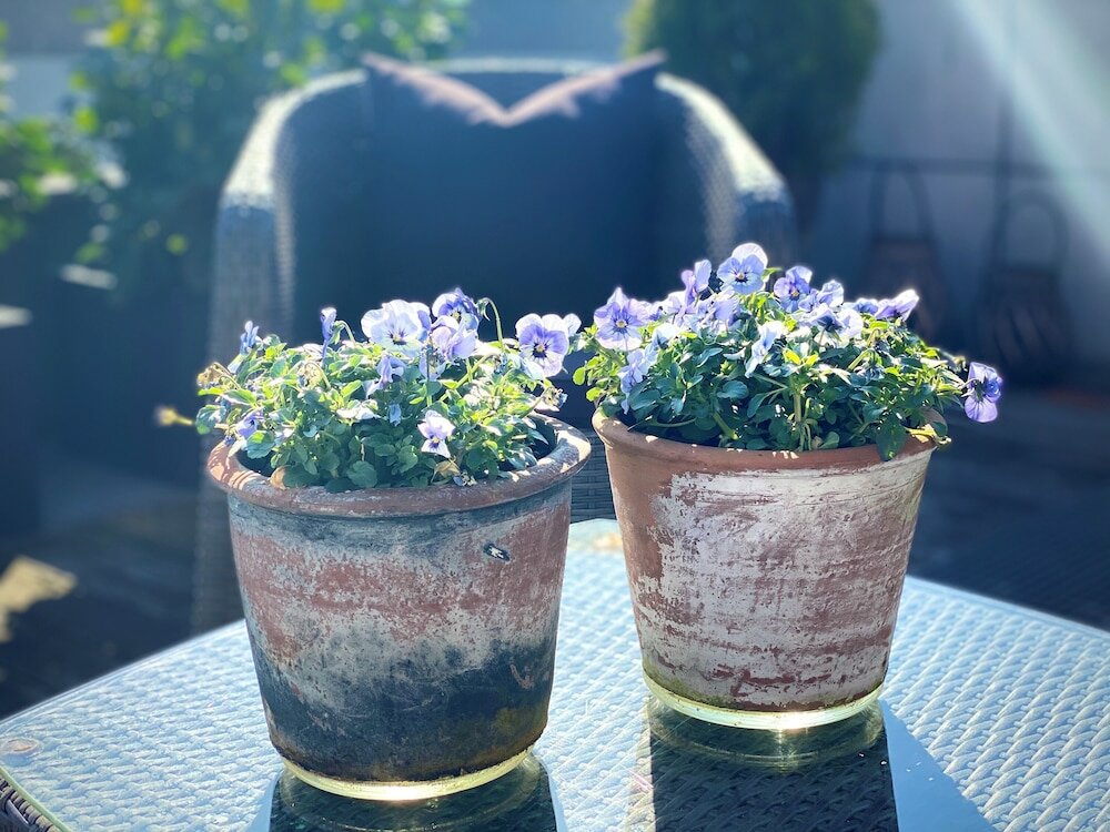 Фото Teaterhotellet