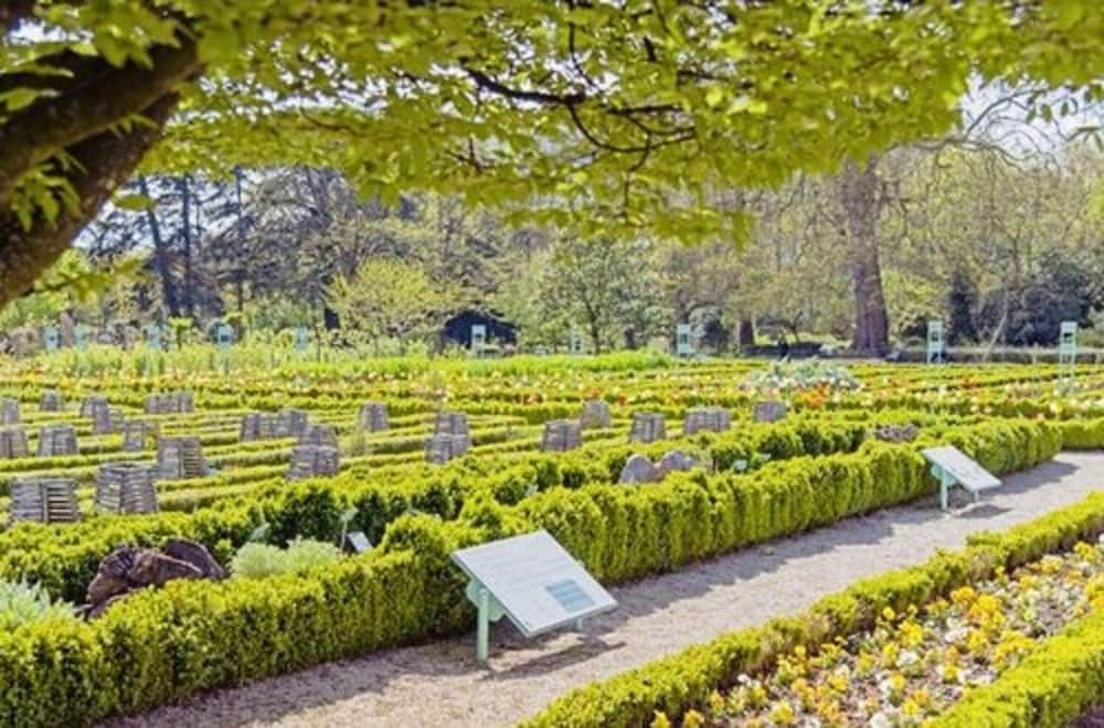 Фото Hotel Inn Design Dijon