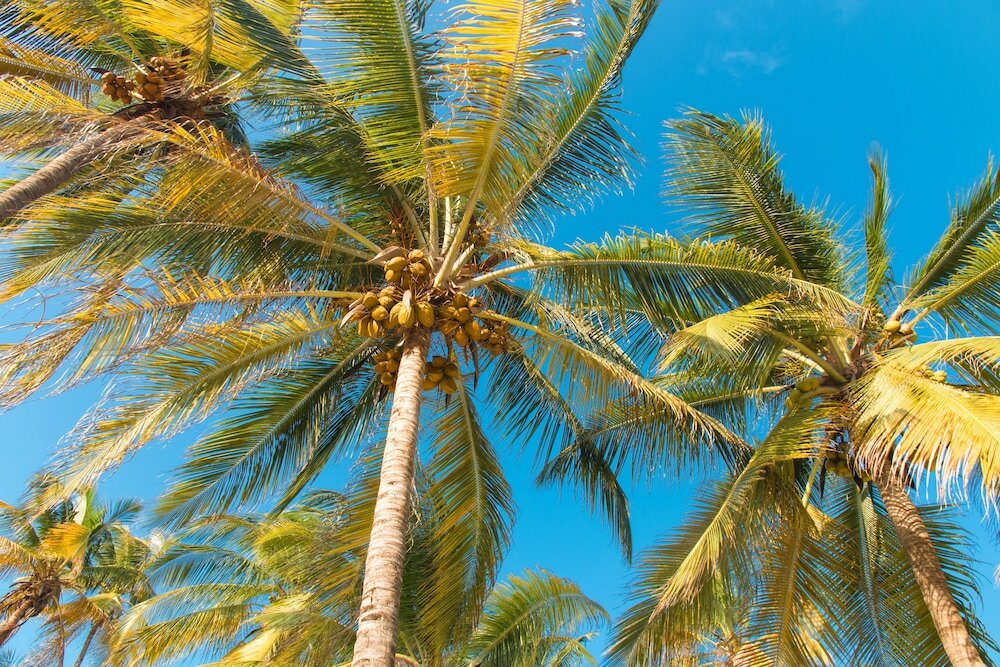 Фото Cristal Resort