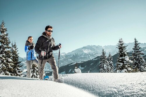 Гостиница Das Alpenhaus Kaprun в Капруне