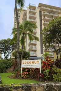 Гостиница Coconut Waikiki Hotel