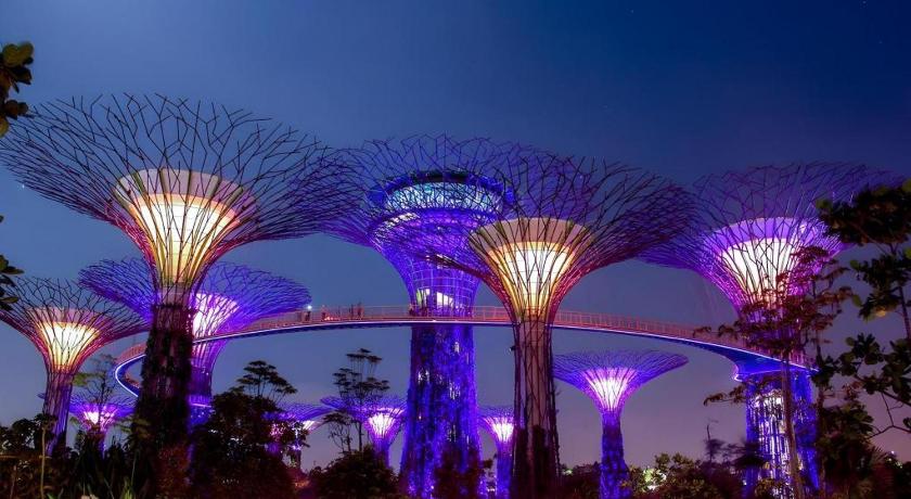 Фото Ibis budget Singapore Selegie