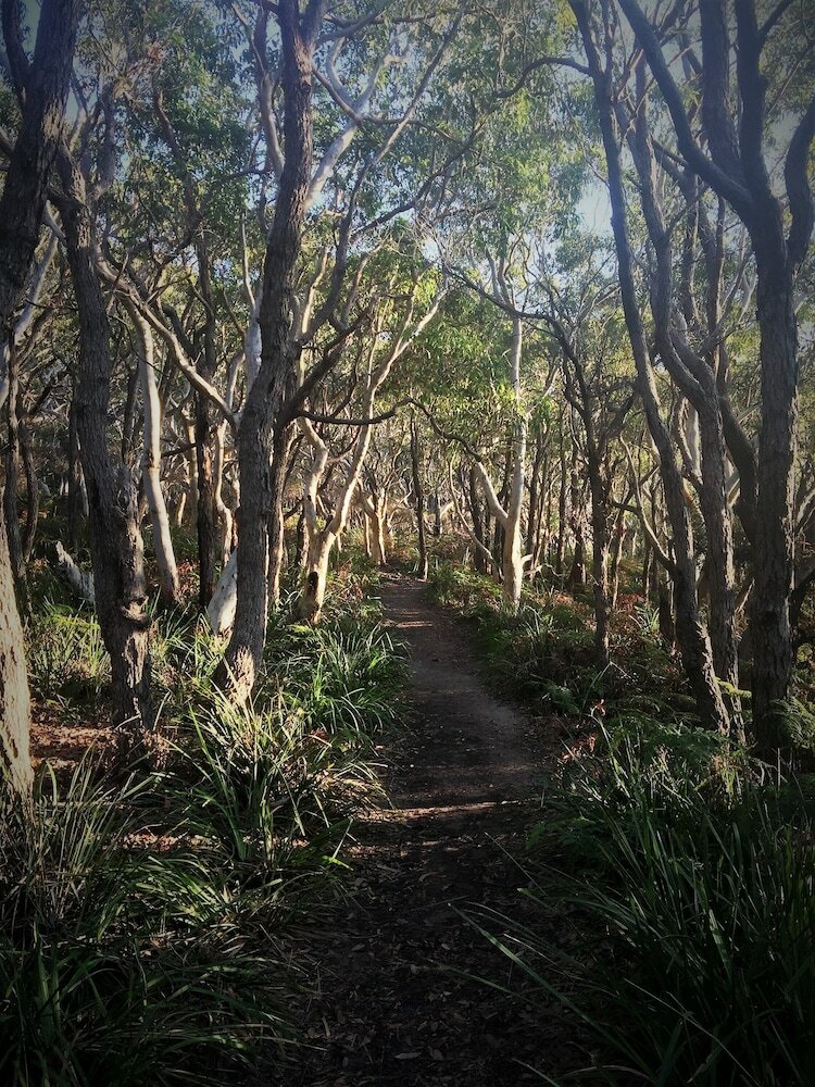 Фото Huskisson Bayside Resort