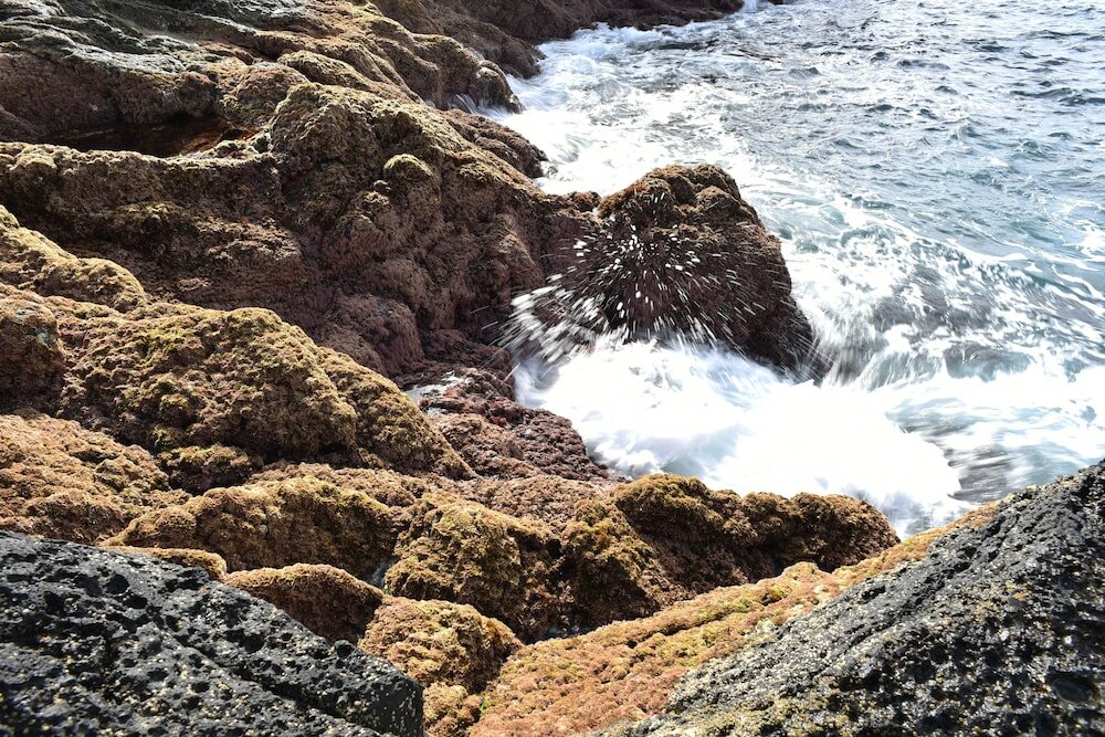 Фото Caloura Hotel Resort