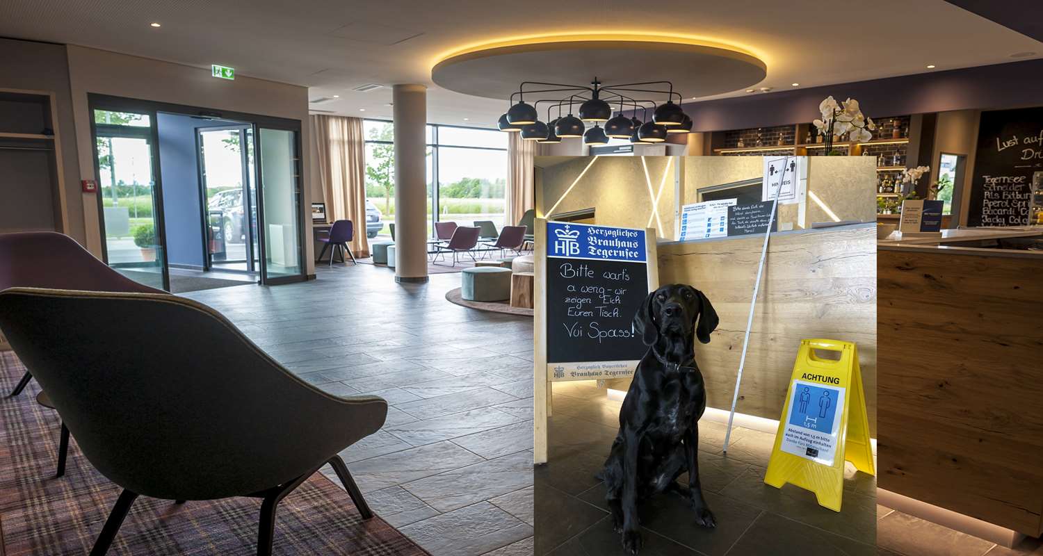 Фото Best Western Hotel The K Munich Unterfoehring