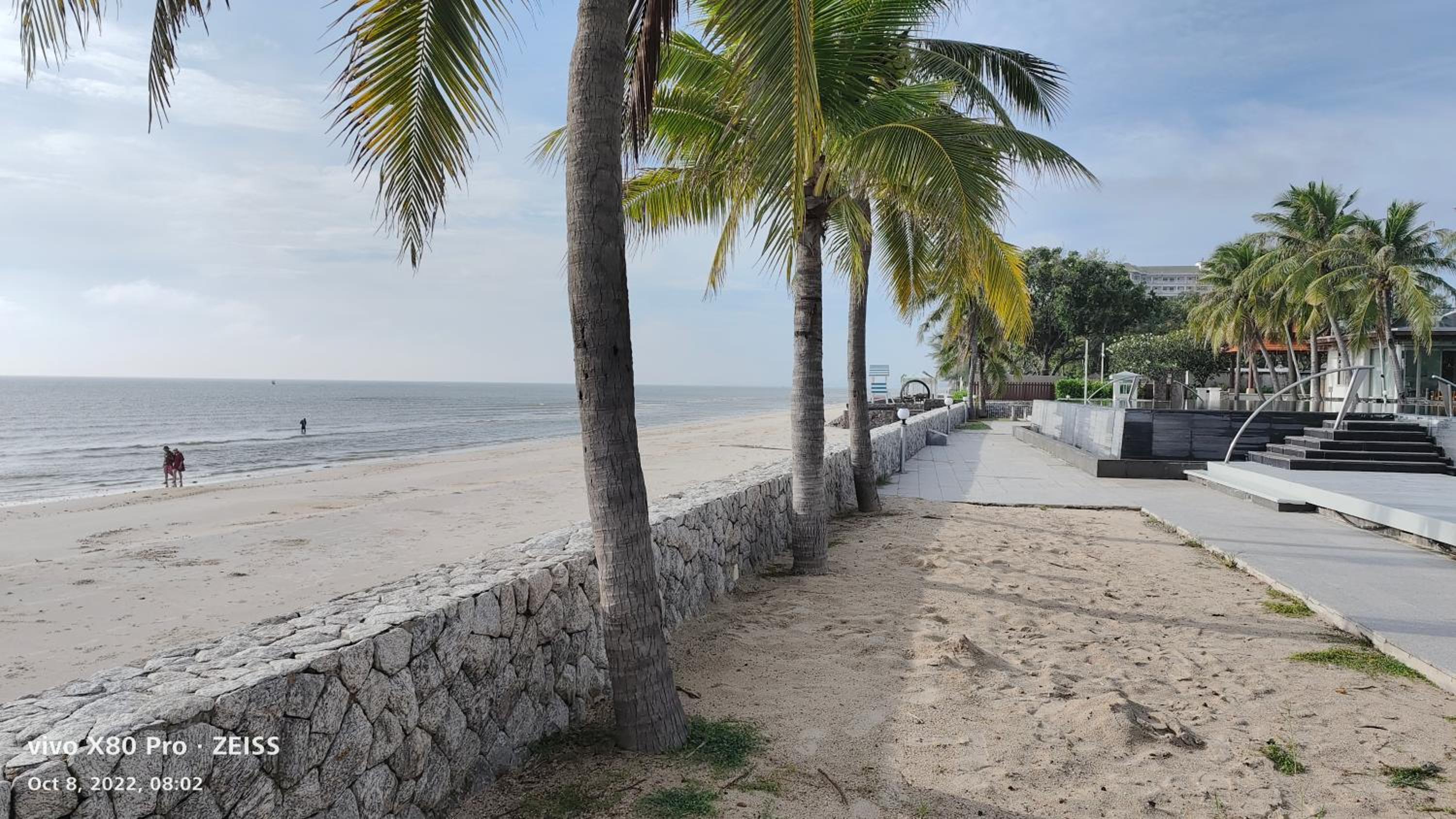 Фото 50624295898