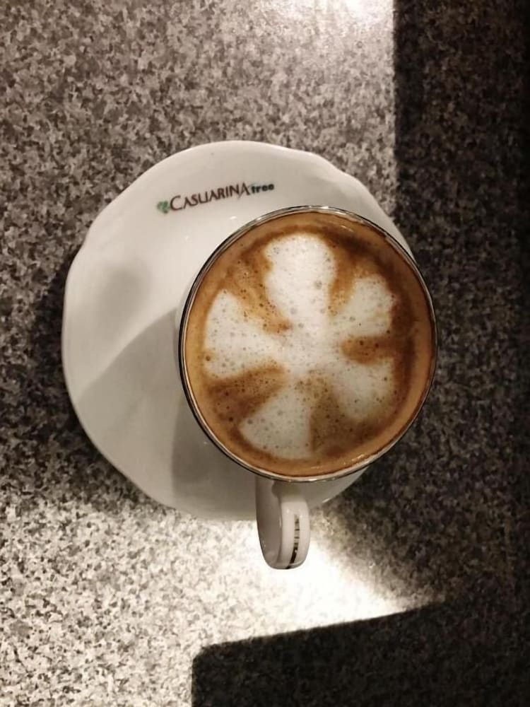 Фото Casuarina Tree