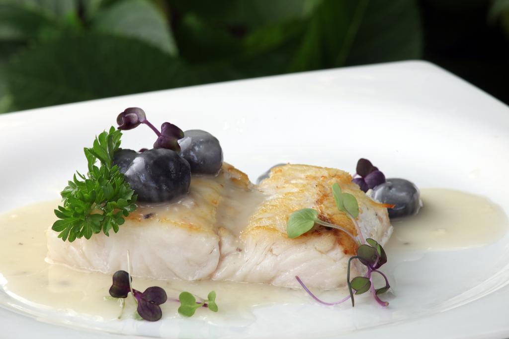 Фото Hotel Quinta de los Cedros