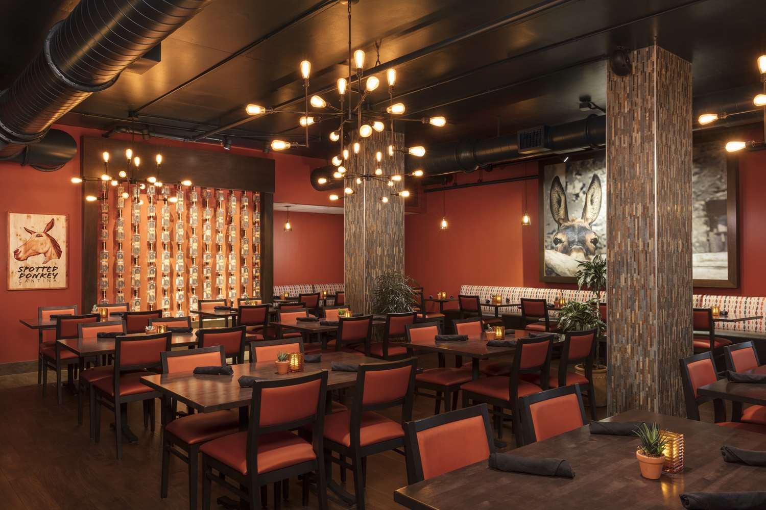 Фото Hilton Clearwater Beach Resort & SPA