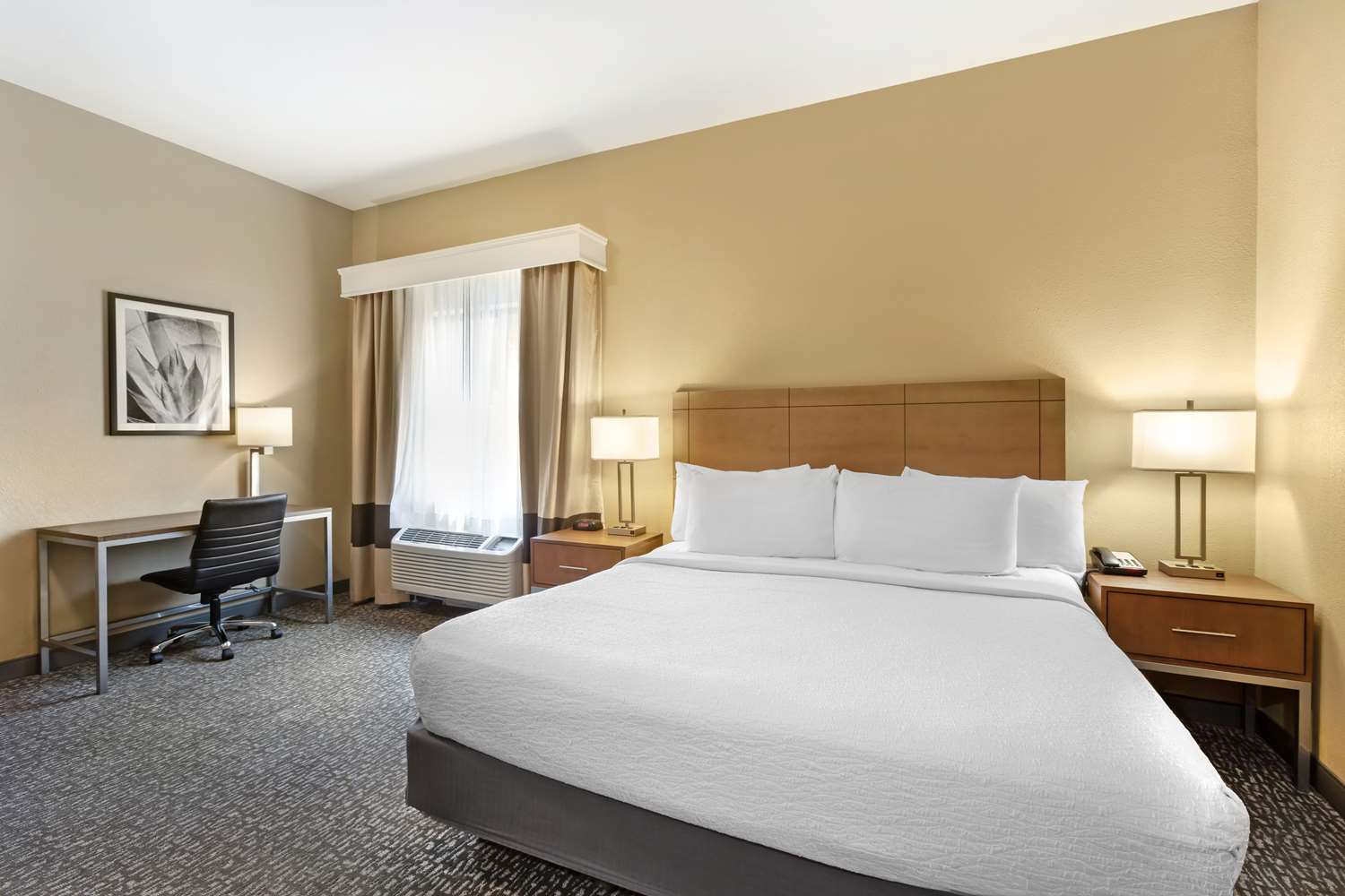 Фото Best Western Plus Surprise-Phoenix Nw