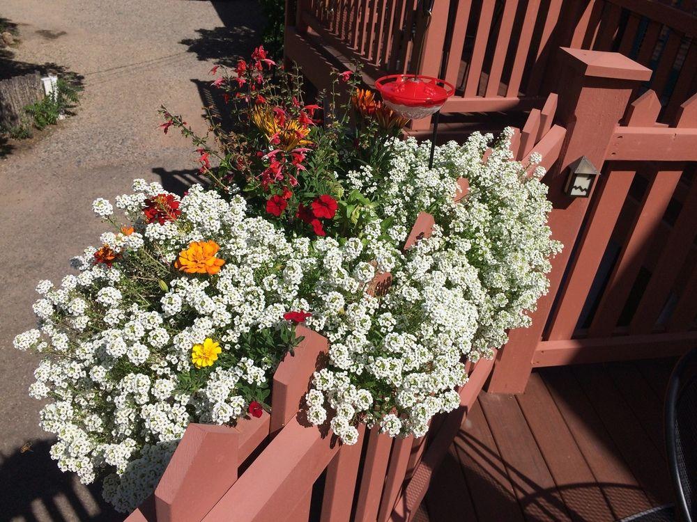 Фото Inn on the Paseo