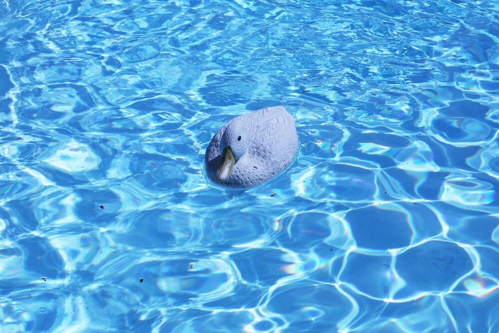 Фото Paradiso Guest House