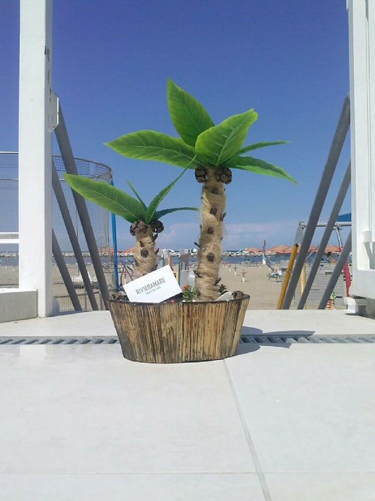Фото Riviera Mare Beach Life Hotel