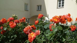 Гостиница Domus Maria Hotel