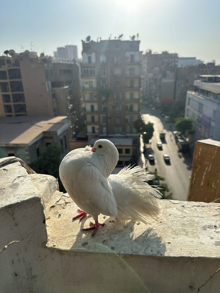 Фото Cecilia Hostel