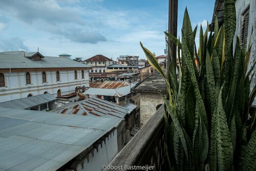 Гостиница Zanzibar Palace Hotel в Занзибаре