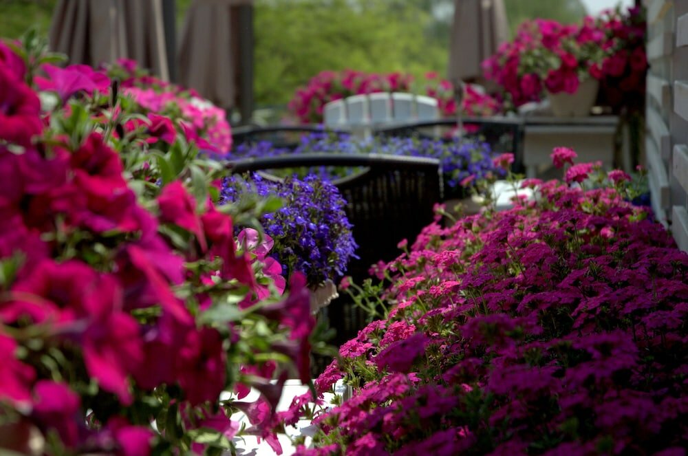 Фото Peking International Youth Hostel