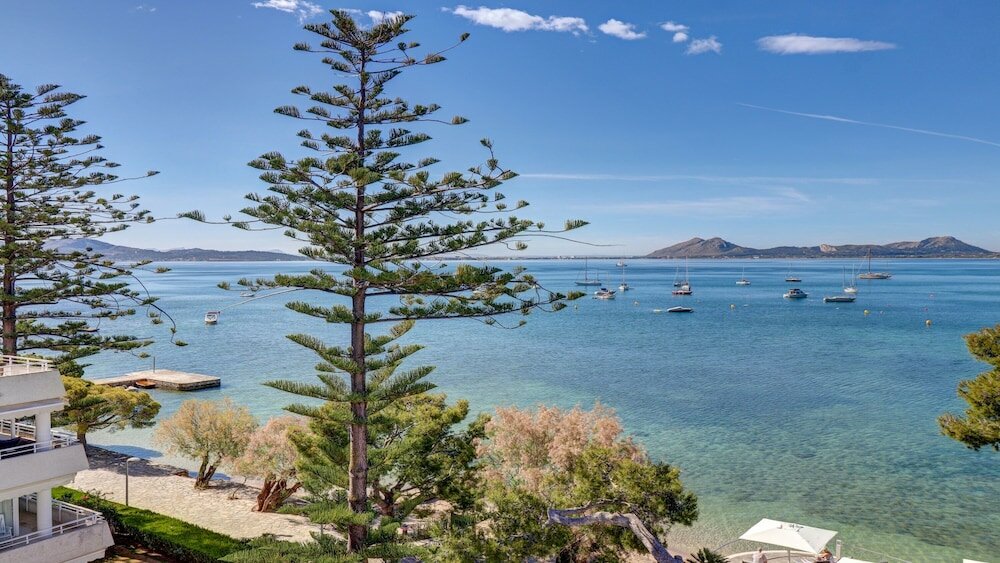 Фото Hotel Illa D'Or