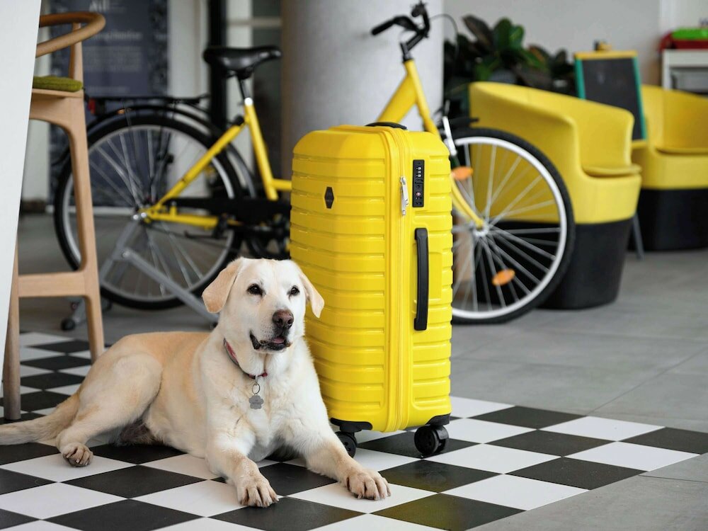 Фото Ibis Styles Budapest City