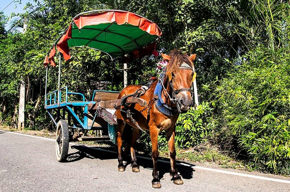Фото The Island Lodge