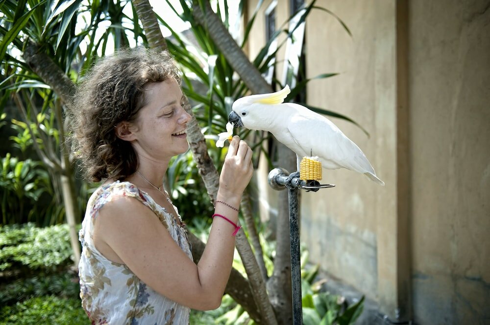 Фото Teja Homestay