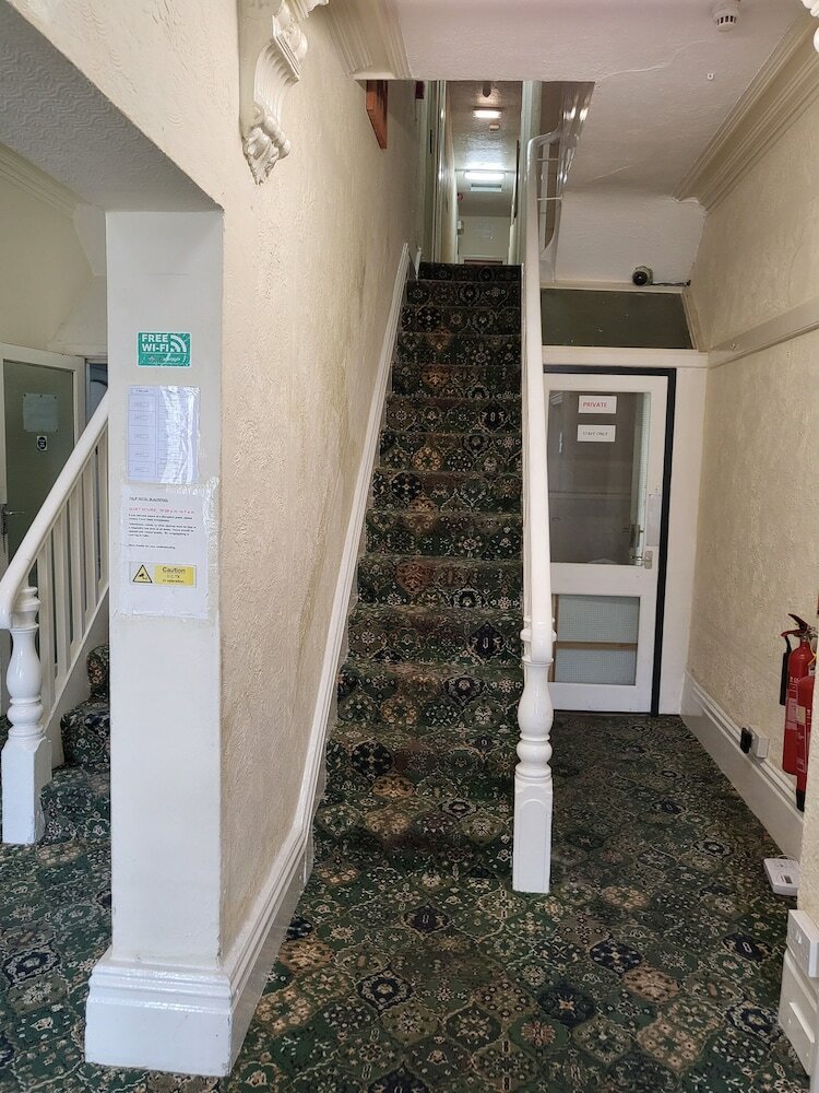 Фото Tulip Hotel