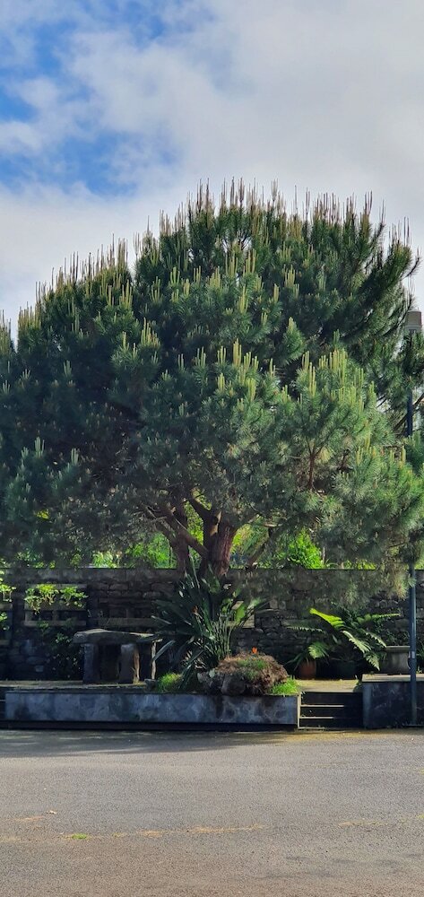 Фото Hotel O Colmo