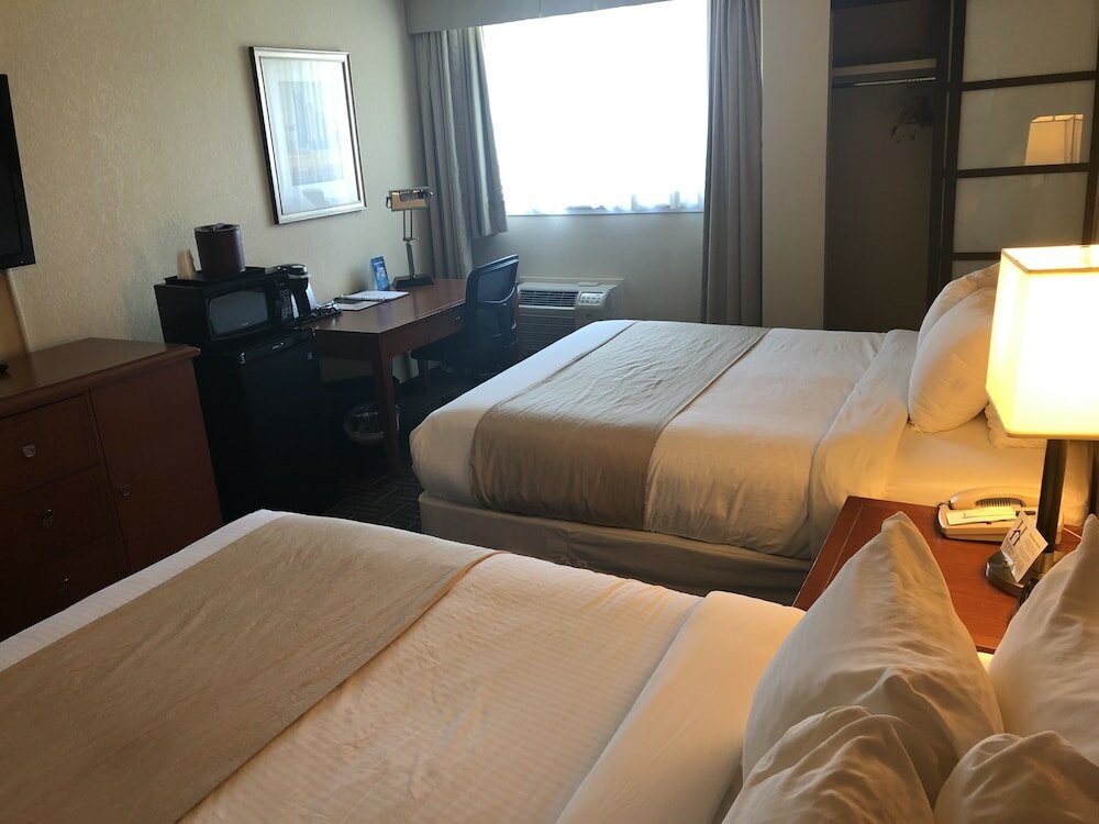 Фото Wyndham Garden Medicine Hat Conference Center