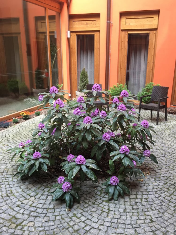 Фото Ea Embassy Prague Hotel