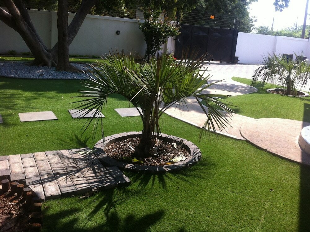 Фото Cosy Palms Guest House