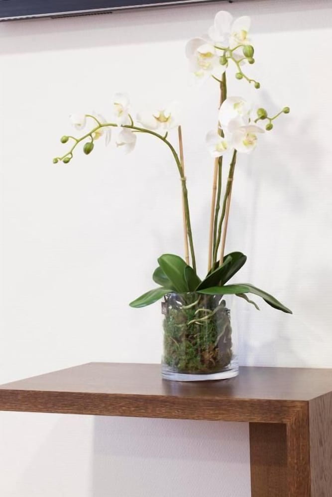 Фото Soho Boutique Oviedo