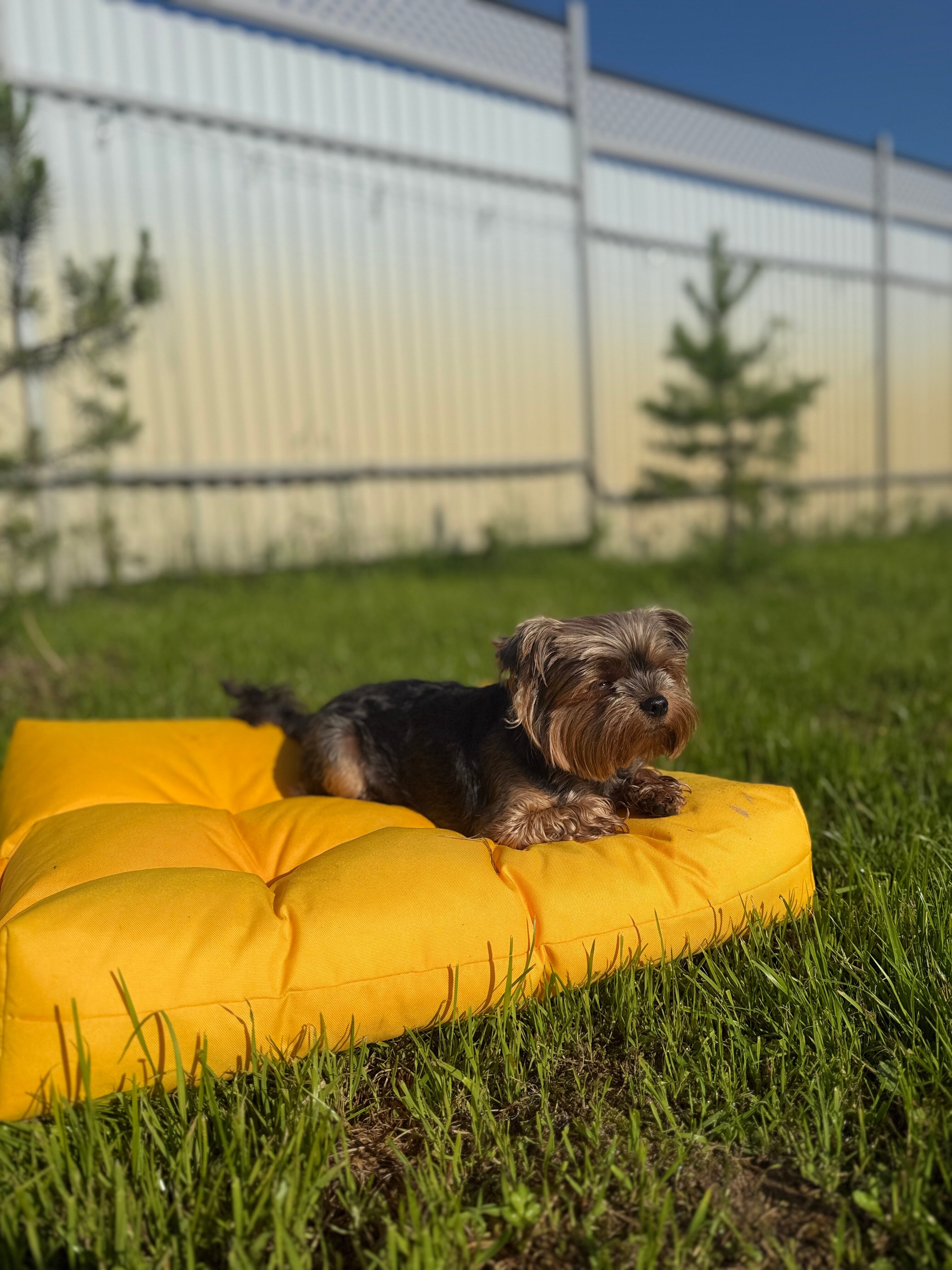 Фото Barn & Баня на Истре