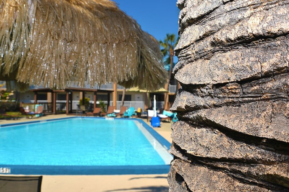 Фото Terrace Garden Inn