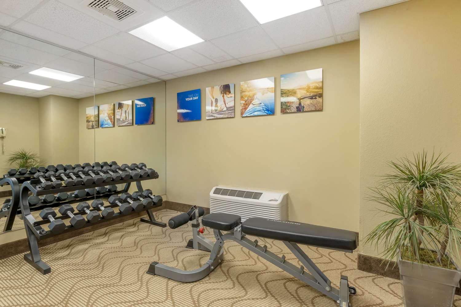 Фото Comfort Inn North/Polaris