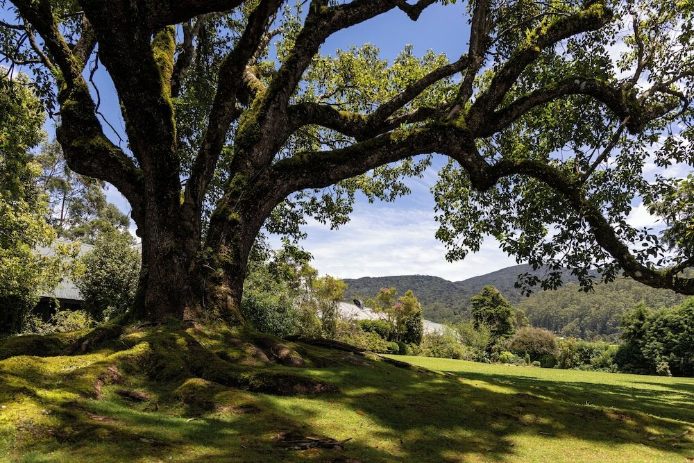 Фото Ferncliff Bungalow