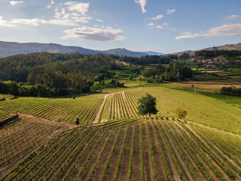 Фото Vila Gale Collection Ponte de Lima