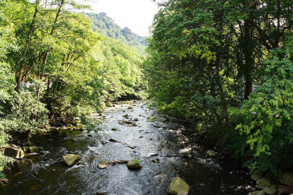 Фото Hotel Riemann